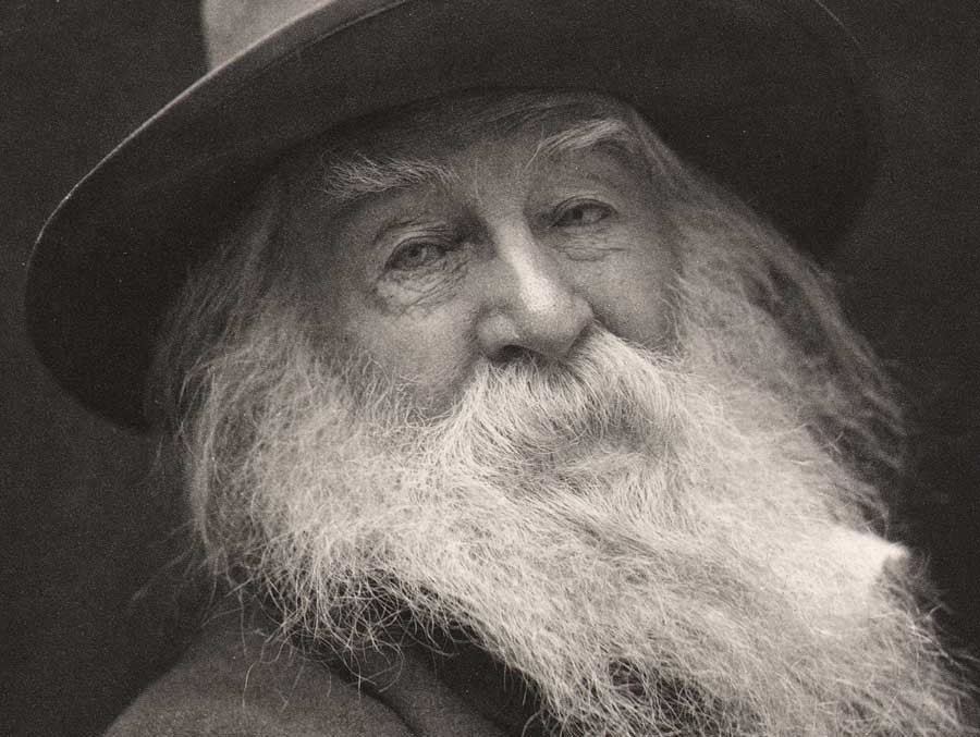 Image result for walt whitman